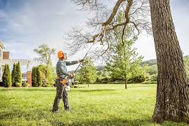 Best Commercial Tree Services  in Pomeroy, OH